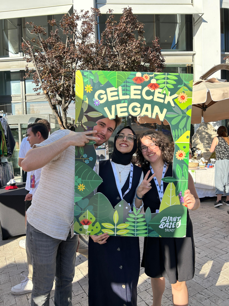 Veggie Fest 25